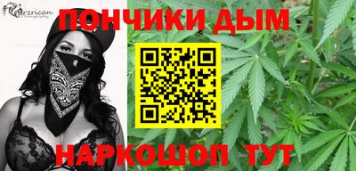 крисы Кунгур