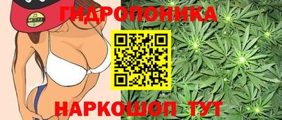 крисы Кунгур