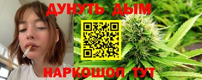 крисы Кунгур