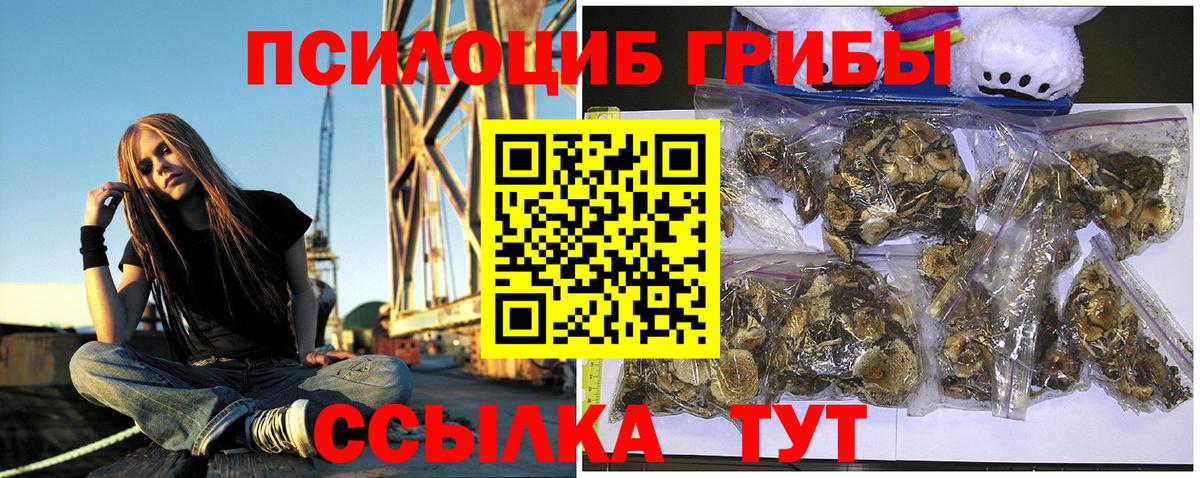 Псилоцибиновые грибы Cubensis Ейск